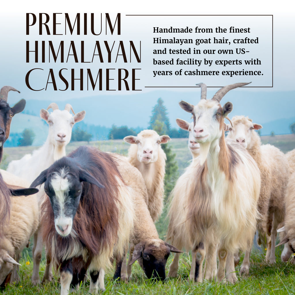 Solid Cashmere Throw Blanket with Fringe | 60 x 54 Inch Super Soft Warm Blankets & Throws