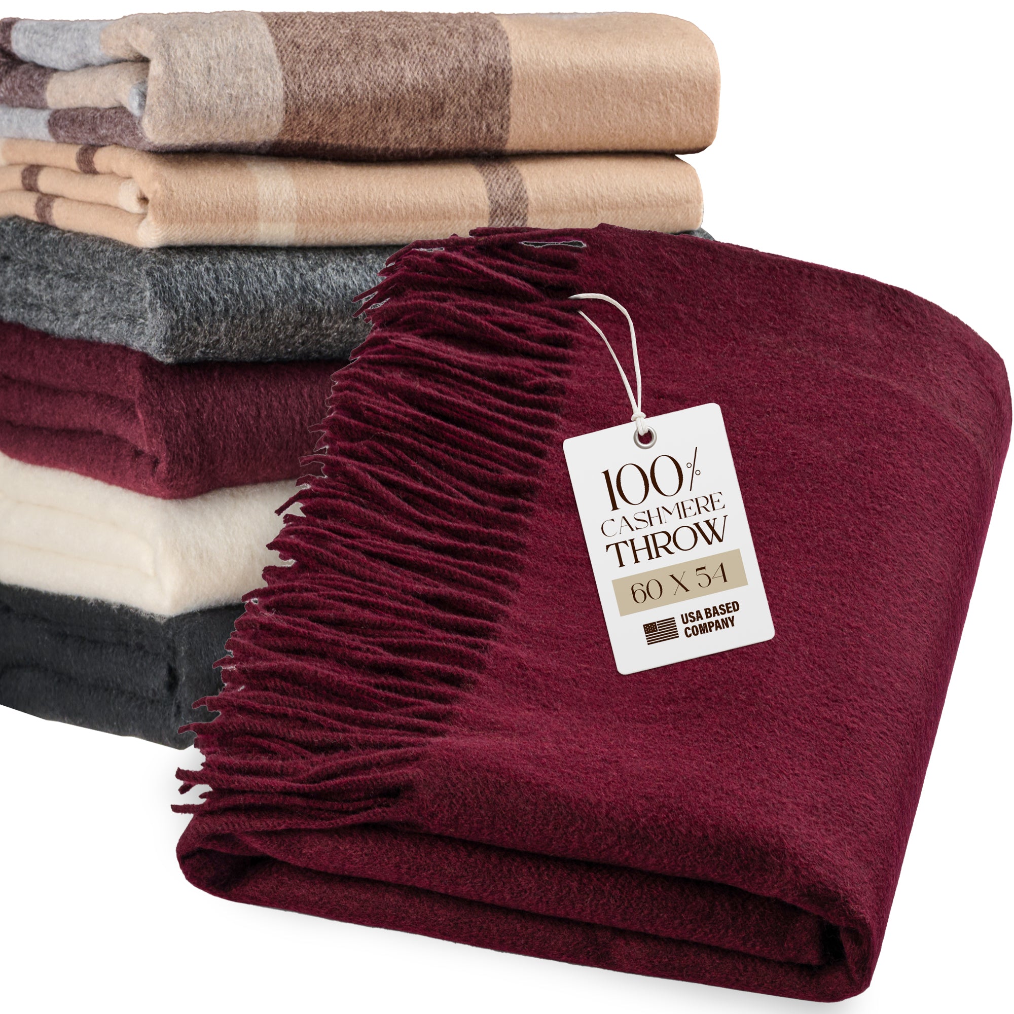 Cashmere Throw Blanket with Fringe | 60 x 54 Inch Super Soft Warm Blankets & Throws for Home, Travel